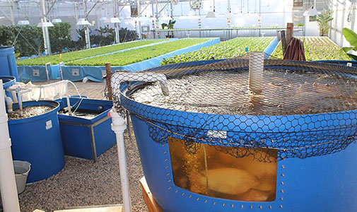 Трубы ПВХ для морской и аквакультуры